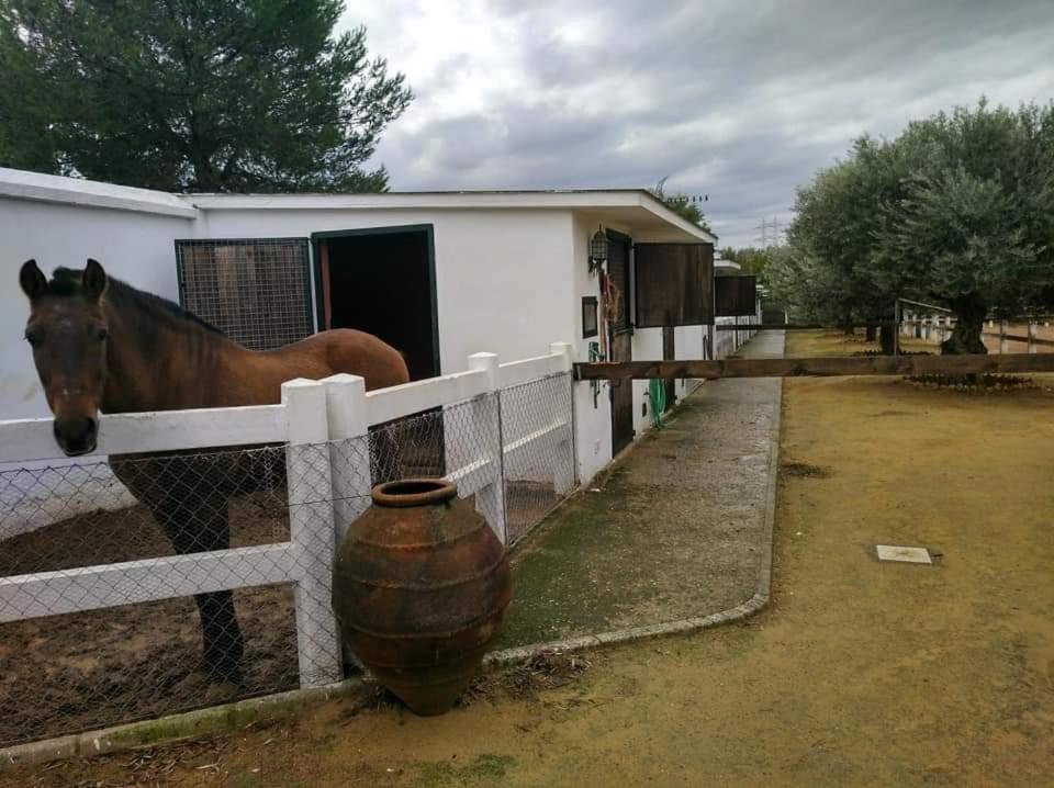 Finca exclusiva  Sevilla Bagian luar foto
